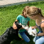 Traumhafte Auf Pferde Ranch アパート *