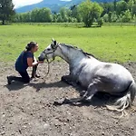 Traumhafte Auf Pferde Ranch * アイヒ