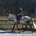 アパート Traumhafte Auf Pferde Ranch アイヒ