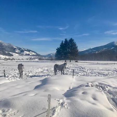 Traumhafte Auf Pferde Ranch Aich (Styria)