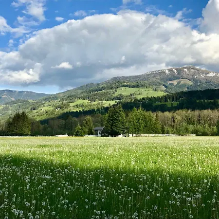 Traumhafte Auf Pferde Ranch Apartment Aich (Styria)