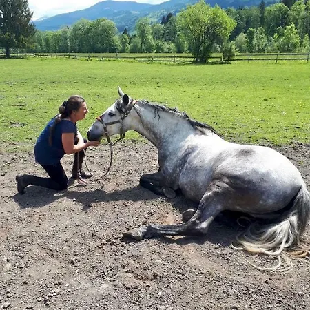 Traumhafte Auf Pferde Ranch * Aich (Styria)