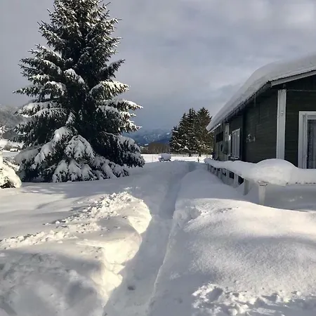 Traumhafte Auf Pferde Ranch
